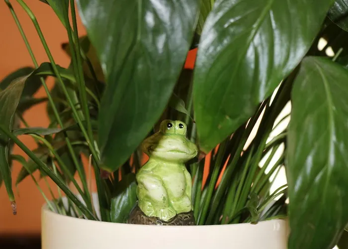 Gogalova Appartement *